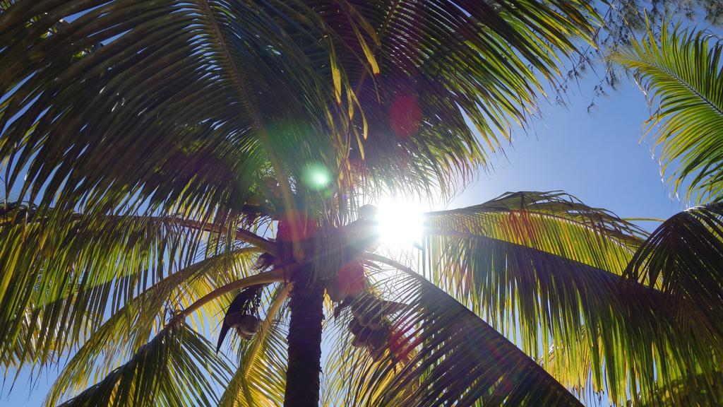 Coconuts Villa Grand-Baie Kültér fotó